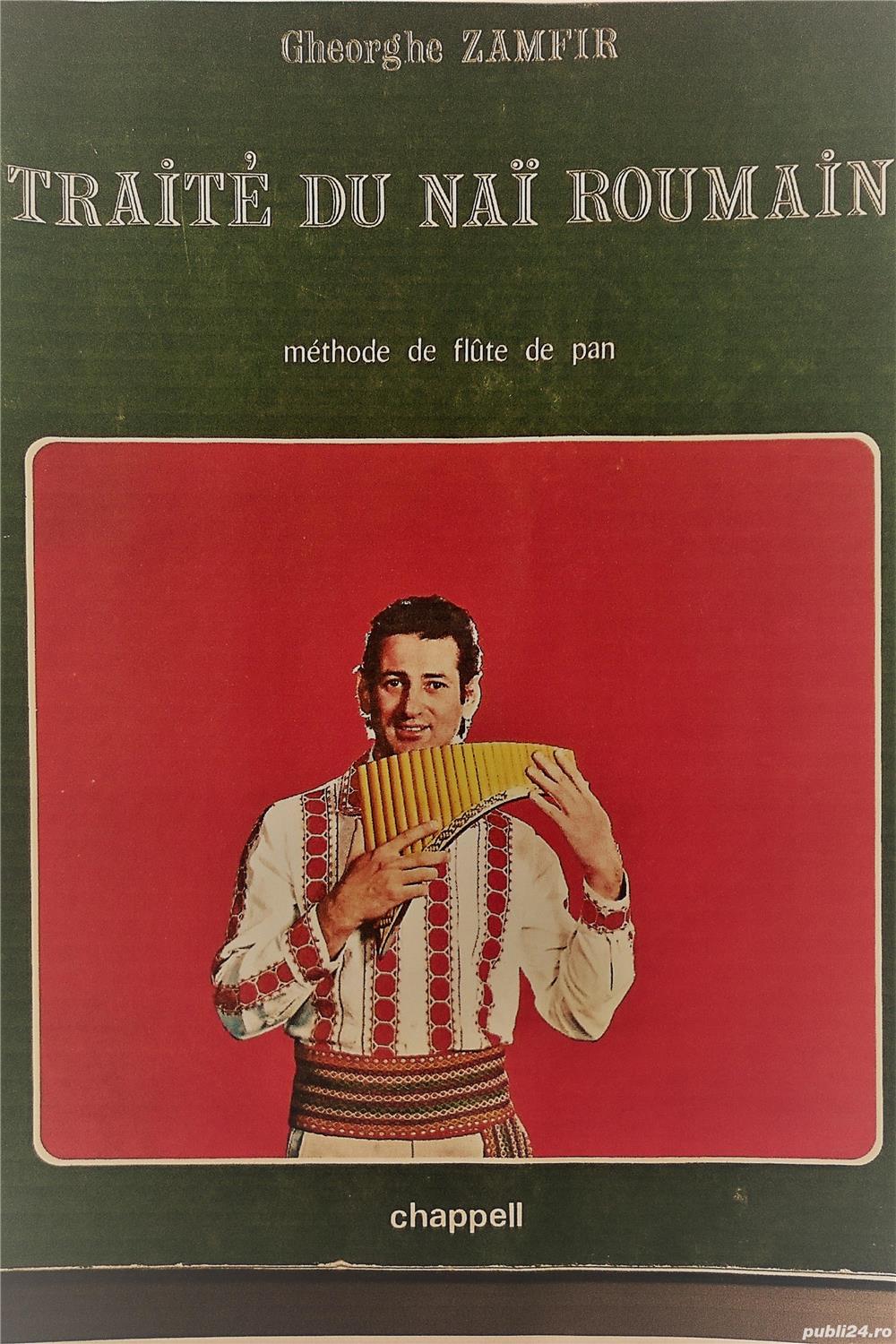 Lecții de NAI, Vioară și Violă-pentru copii și adulți.