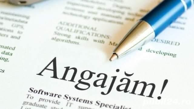 Caut colaboratori, Manageri echipa vanzari