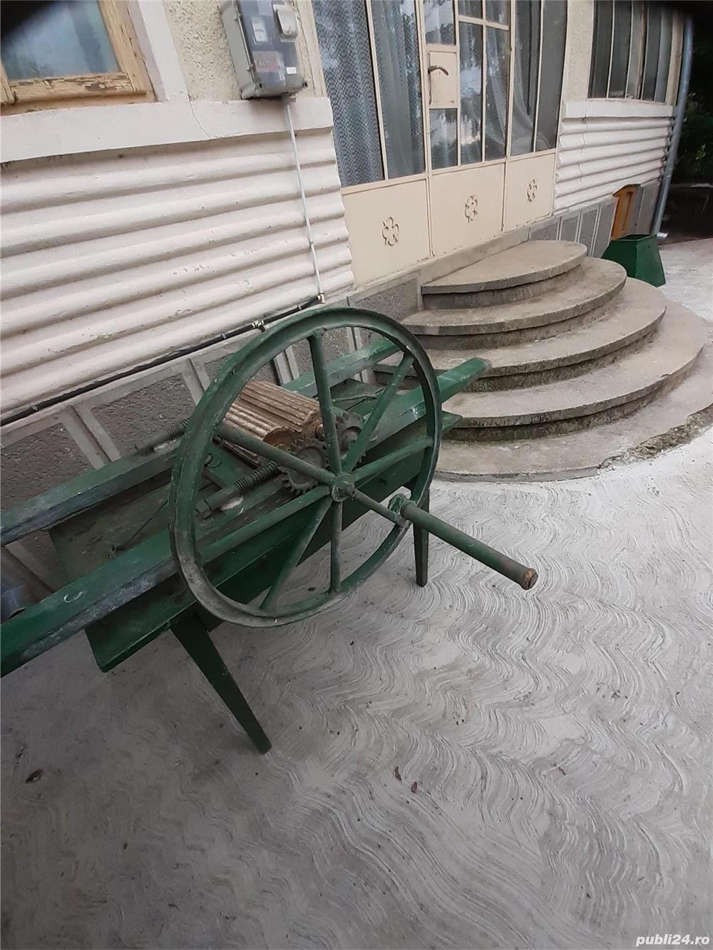 Zdrobitor de struguri