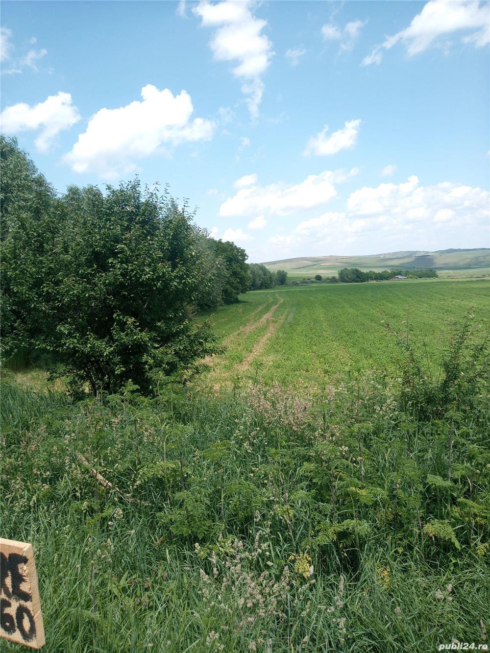 Vand teren extravilan in satul Boju