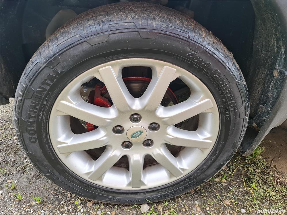 genti freelander "18