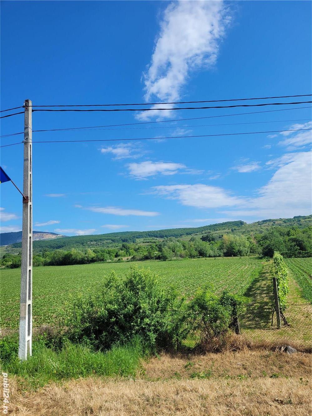 Vand teren intravilan in Stremt jud Alba