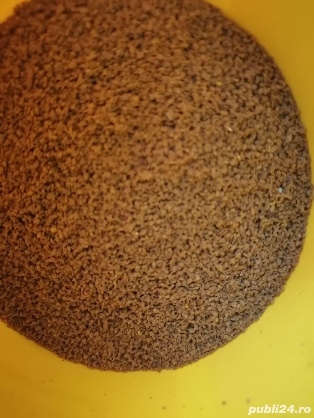 Hrană pesti exotici Hrană pesti exotici