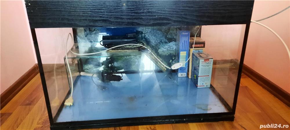 Acvariu Acvariu