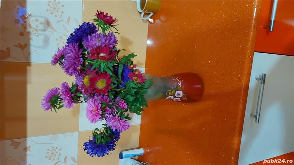 Doamna menajera Doamna menajera