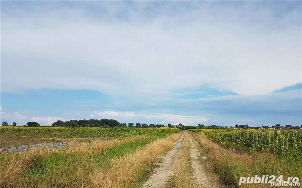 Teren intravilan Ciorogarla, 500 mp, deschidere 20 ml