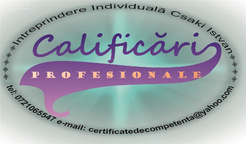 Calificare profesională, în mai multe ocupa ii doar în câteva zile