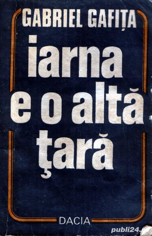 Iarna e o altă  ară de Gabriel Gafiţa