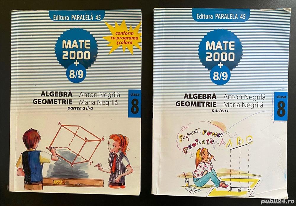 algebra geometrie clasa a viii a de anton negrila si maria negrila mate 2000 