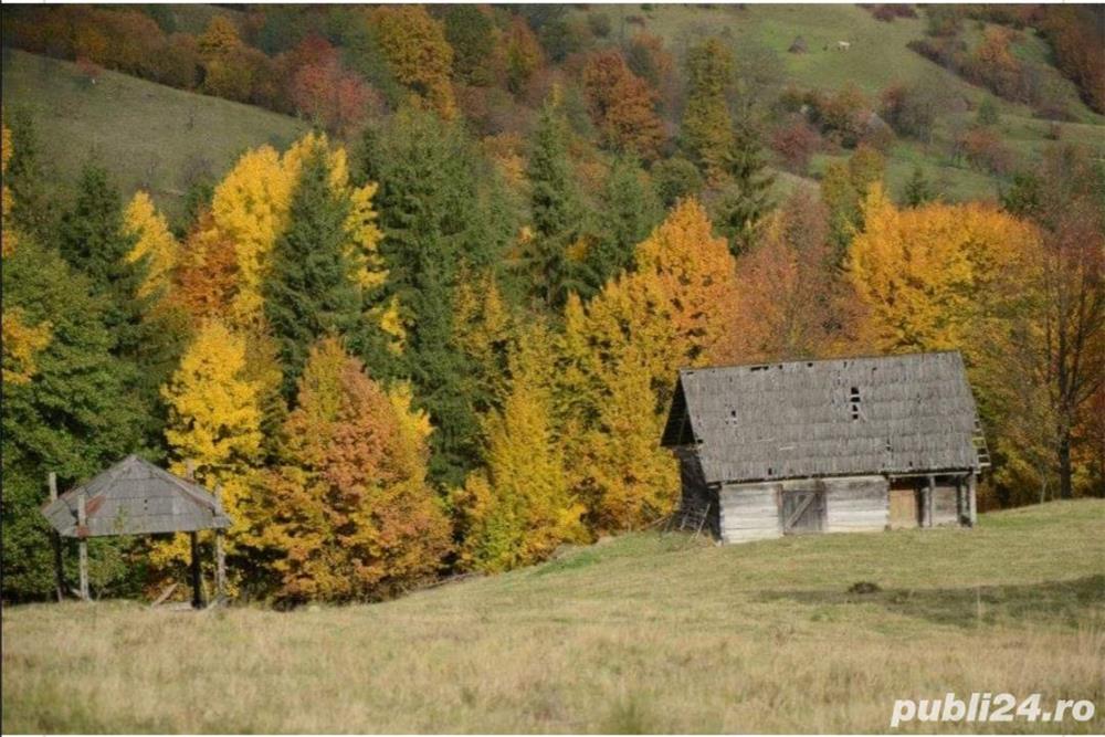 Teren de vinzare de 3000mp in custura