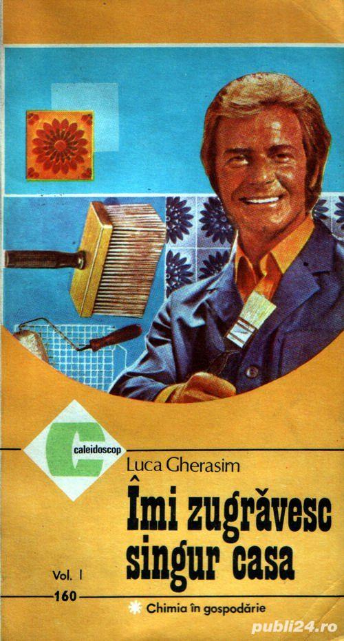 Îmi zugrăvesc singur casa