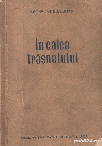 În calea trăznetului de Peter Abrahams