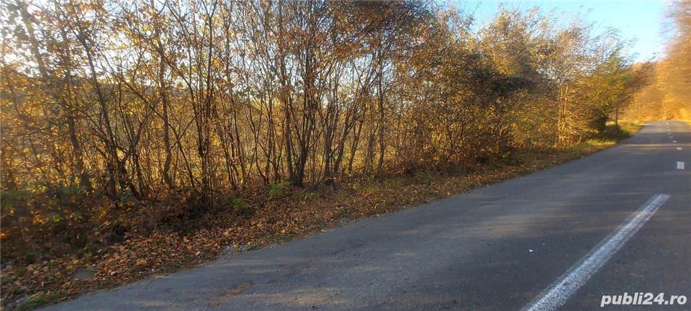 Teren Gorgota Dambovita