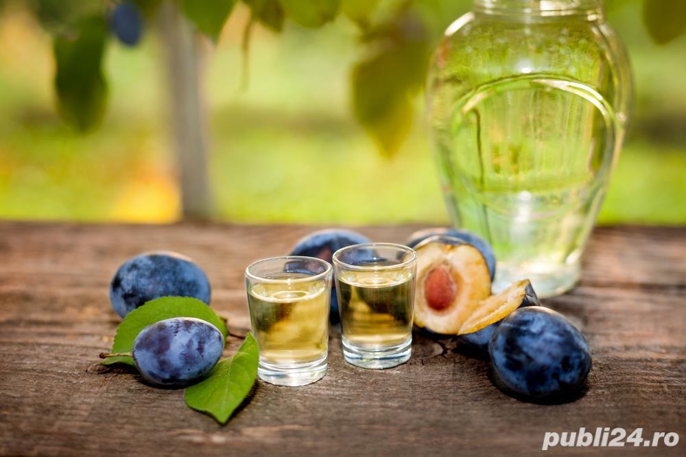 Palincă de Zalău 100% Prune ECOLOGICĂ 52gr