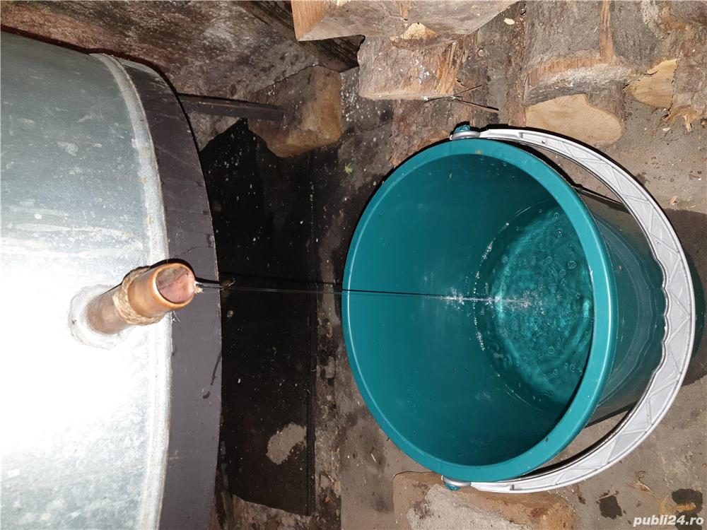 Vand palinca de prune