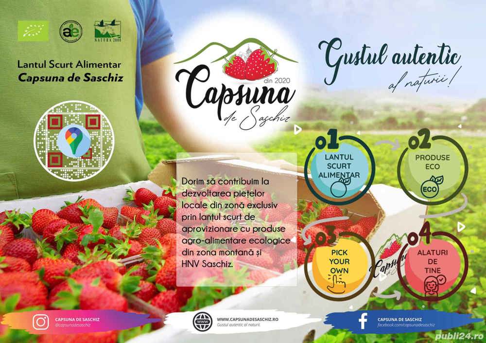 Lanțul scurt  alimentar Căpșuna de Saschiz