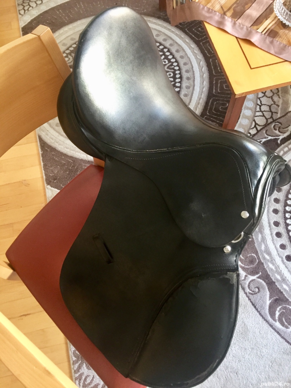 Sa Sport si dresaj Sa Sport si dresaj