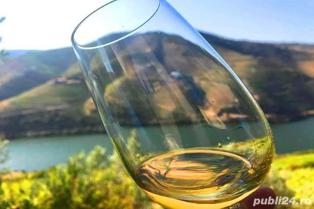 Vin de Dragasani Cramposie Selectionata