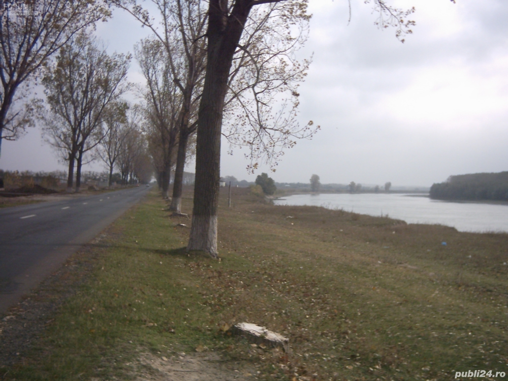 OCAZIE - Teren INTRAVILAN 17500 m2 pe malul Dunarii deschidere DIRECT la SOSEA