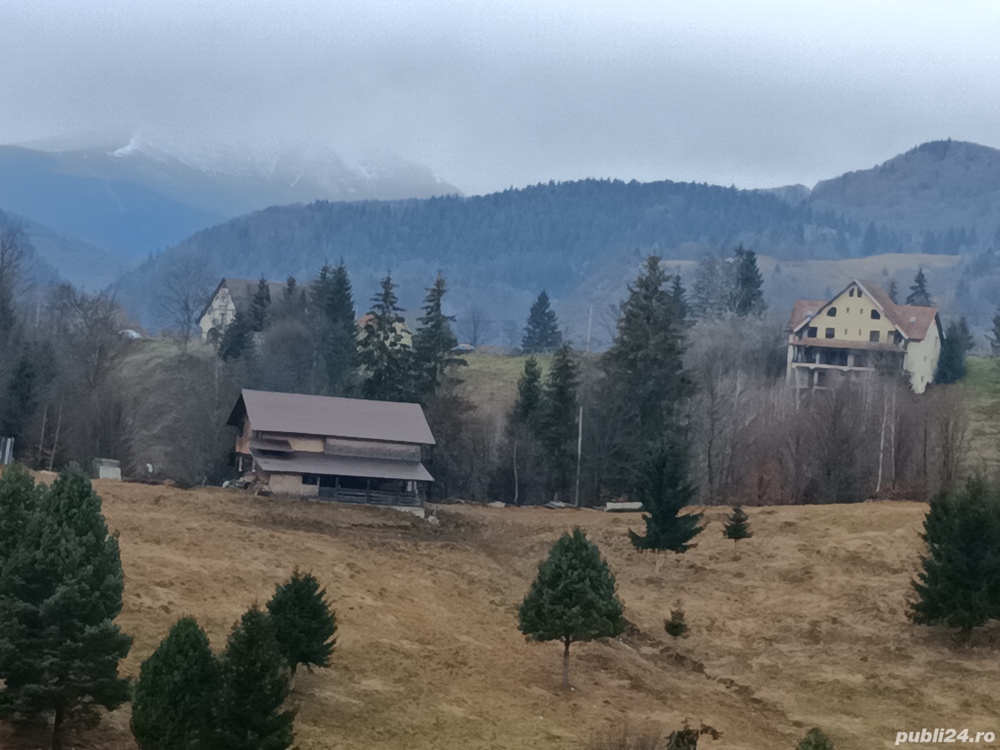 teren la munte culuarul Rucar,Podul Dambovitei,Bran