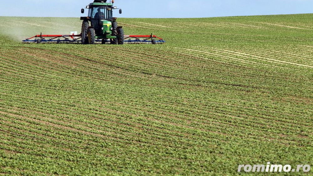 Vand,arendez teren agricol 6 ha compact lângă Dunăre,Turnu Măgurele