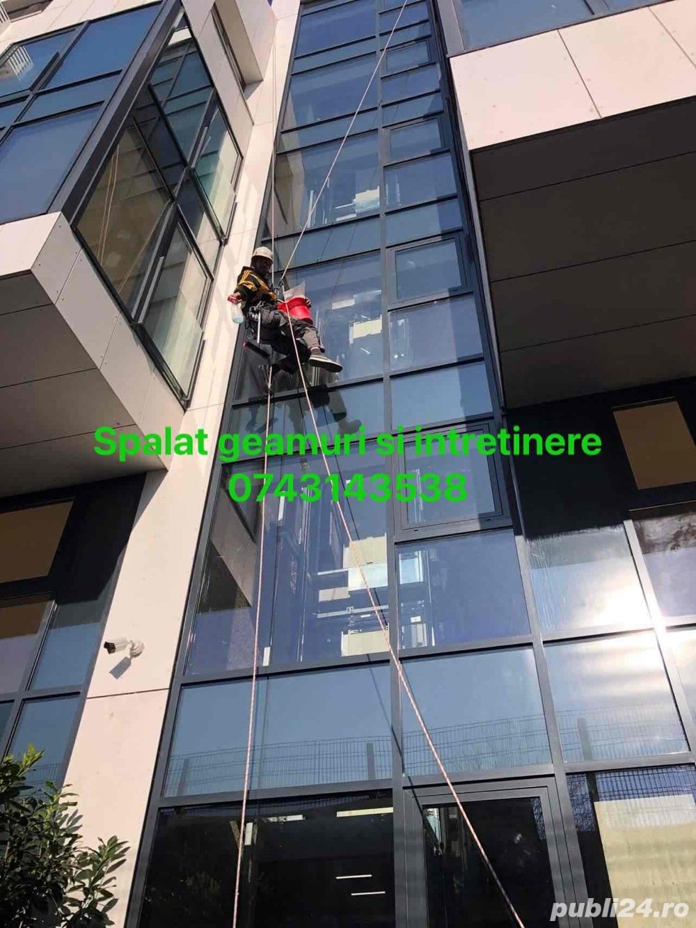 Curatenie si dezinsectie