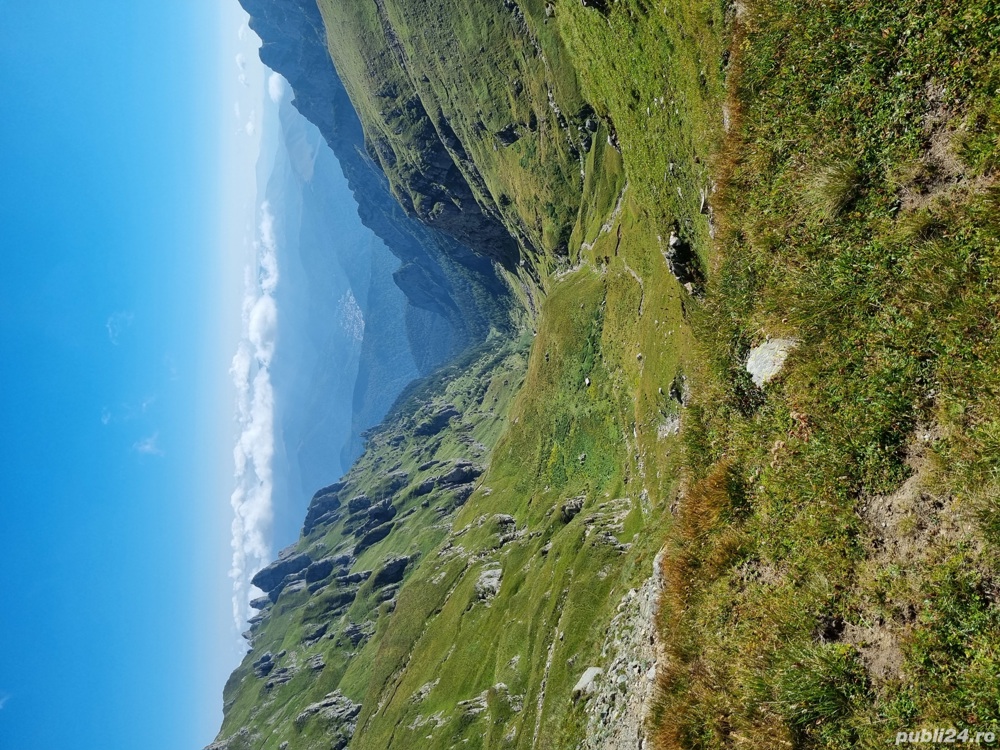 Cursuri de limba engleză și germană