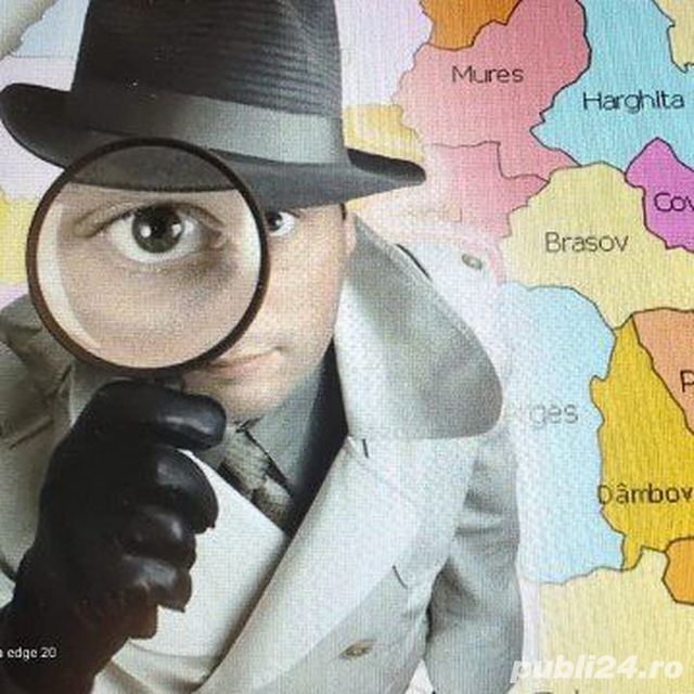 DETECTIVI Structura Rapida de Investigatii