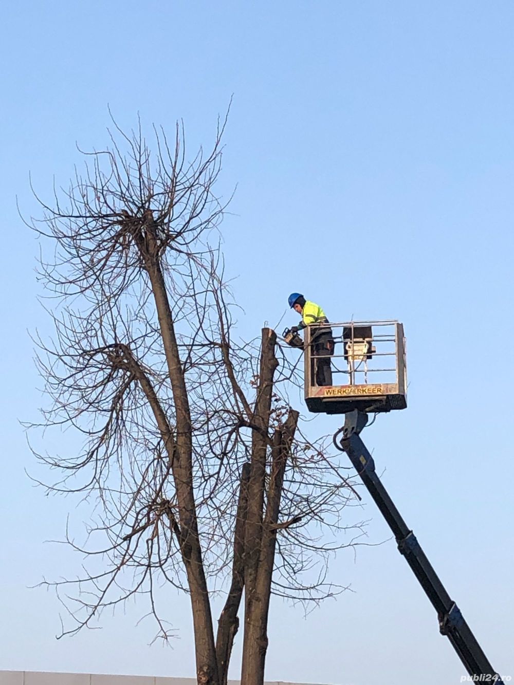 Defisari x Toaletare copaci     x  Tocator crengi