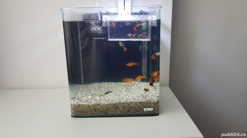 Acvariu 30 litri toate accesoriile Acvariu 30 litri toate accesoriile