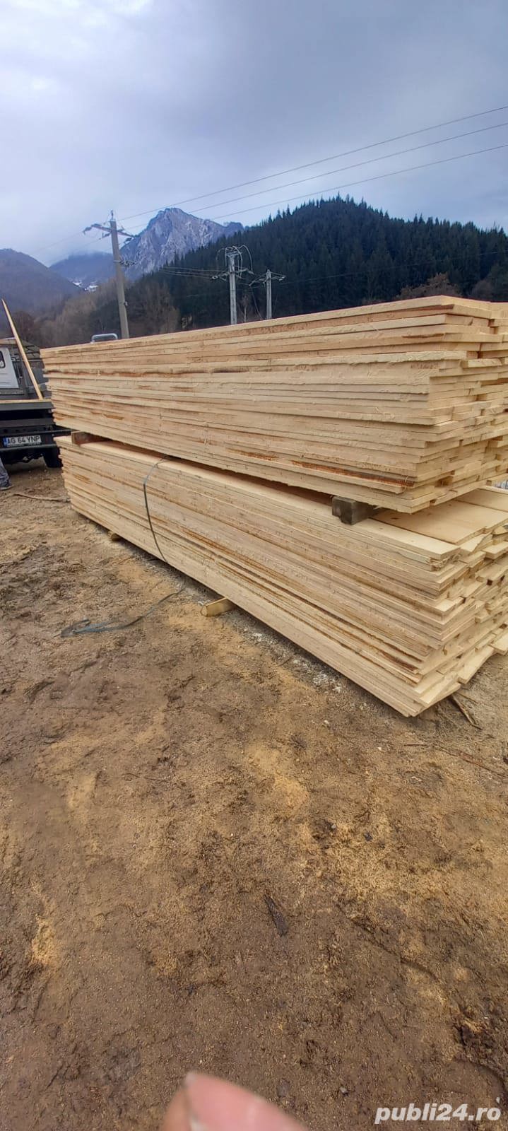 vând cherestea rășinoase 