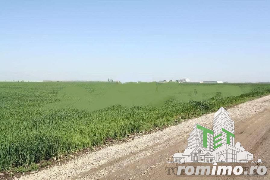 Teren  de vazare pt investitie, Sinesti, 4 eur   mp, 21000mp , Ialomita