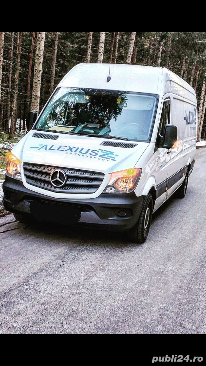 Alexiusz TOP Transport 