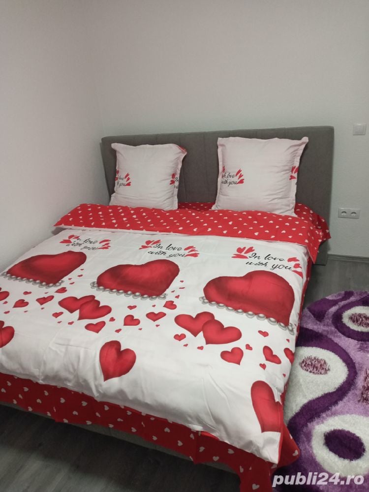 garsoniere si apartament ultracentral deva 