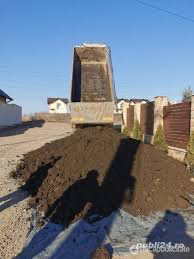 Pamant negru vegetal 