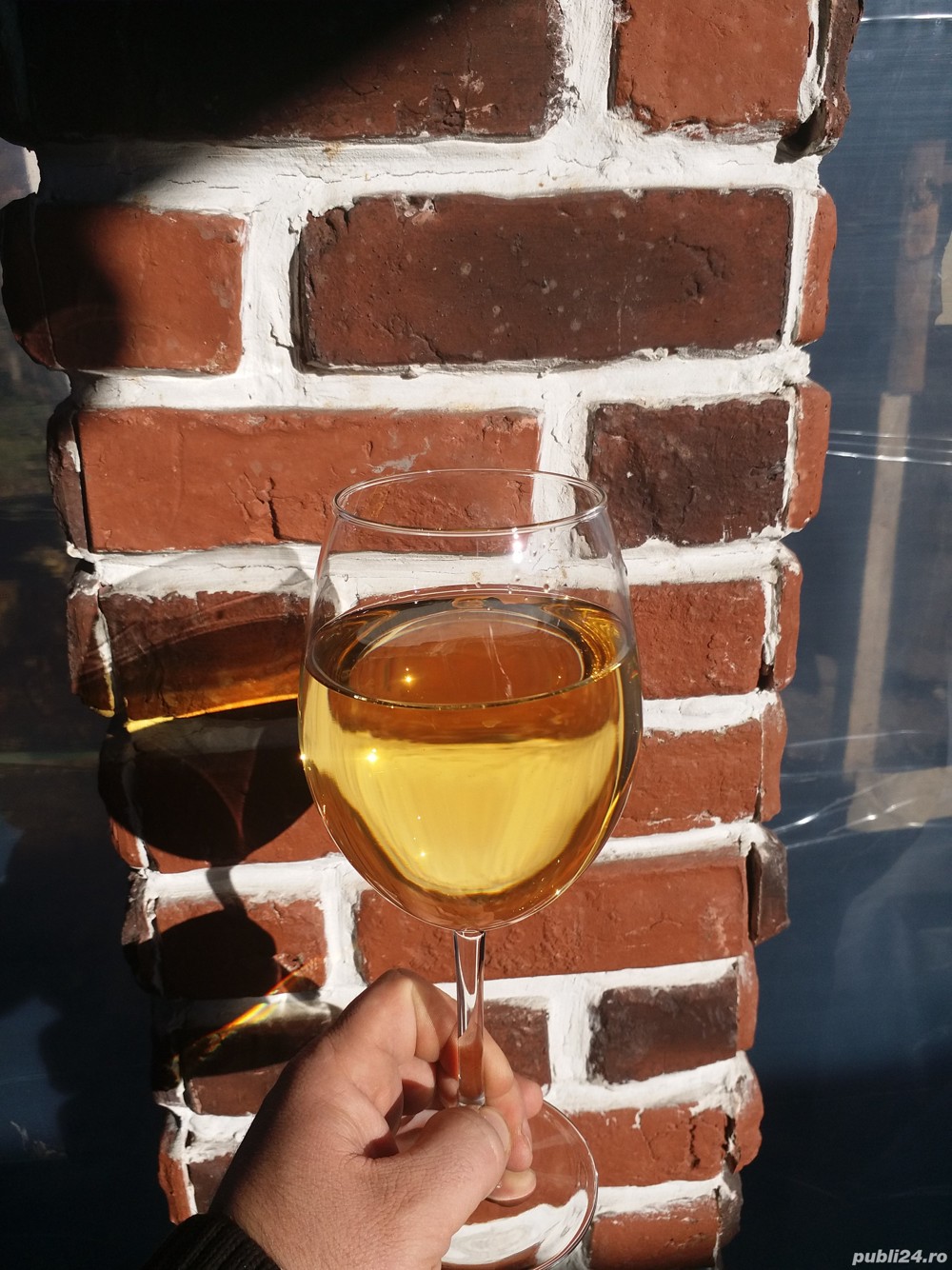 Vin de Vita Nobila - Feteasca Regala