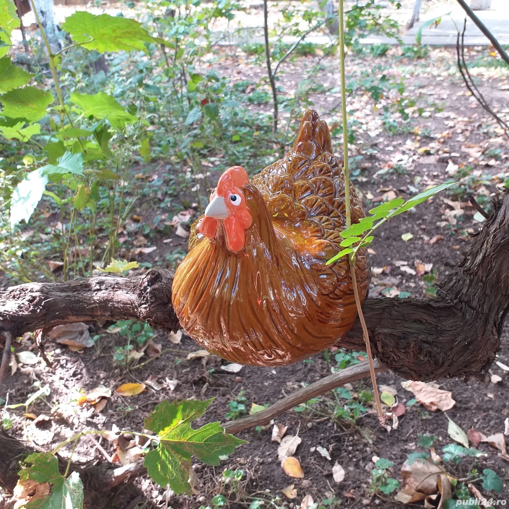 bibelou portelan ceramica gaina pitica closca, decor gradina pom, gard, etc