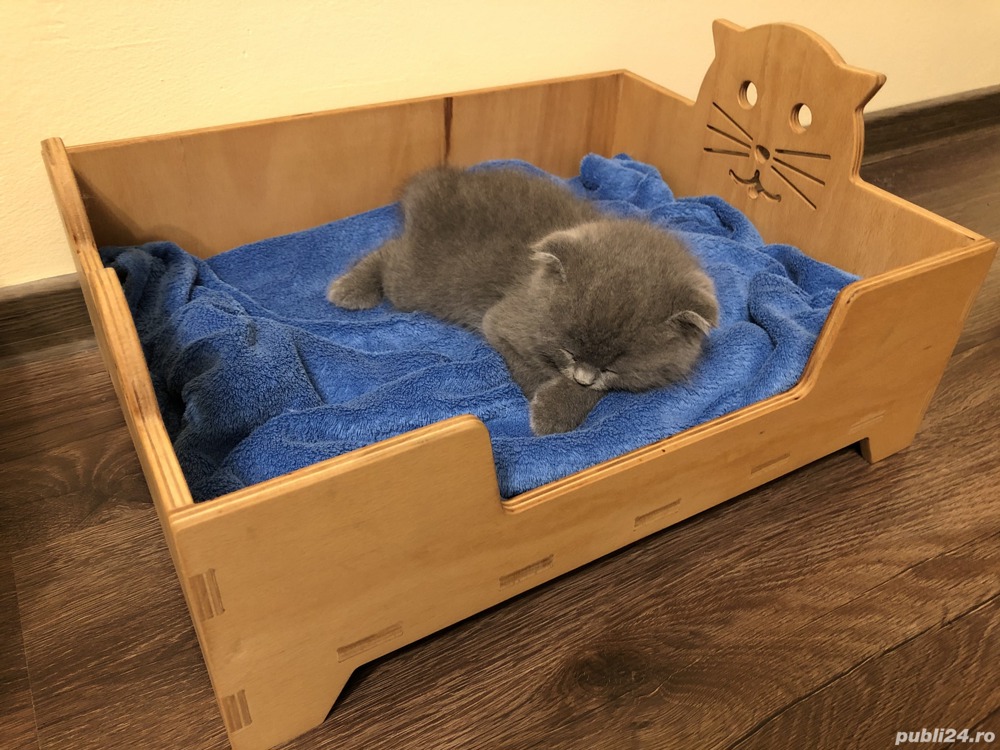 Pătuț pentru pisică
