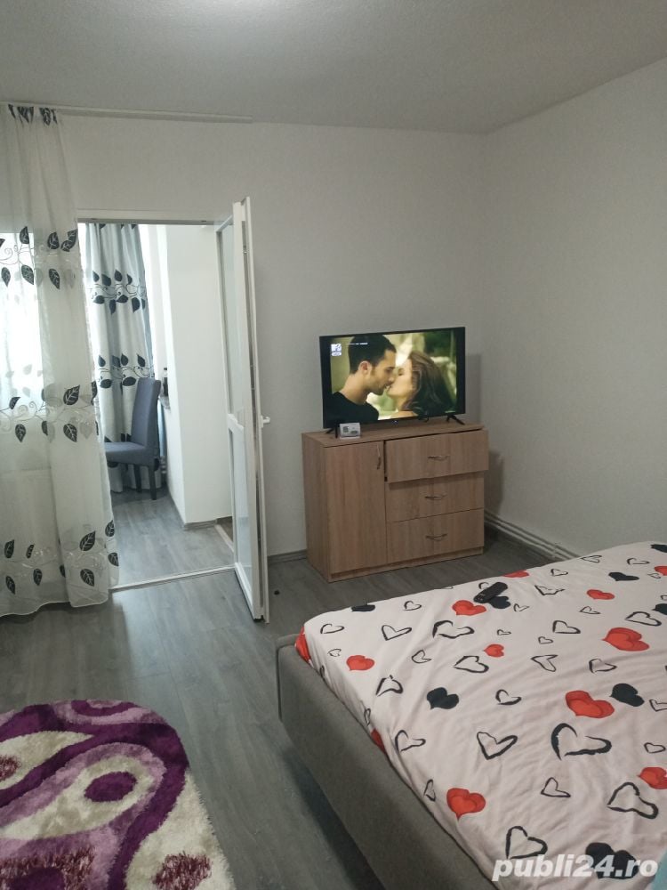 garsoniere si apartament ultracentral deva 