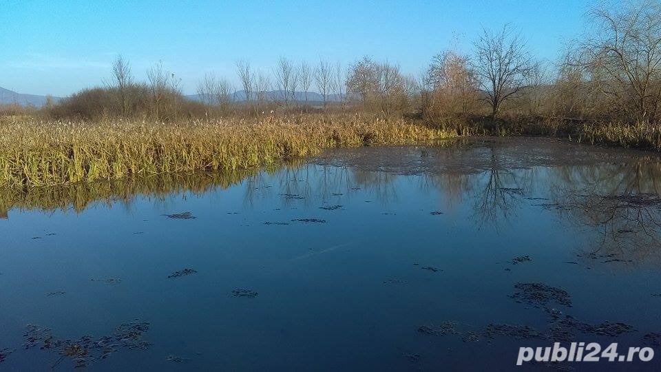 pescarie de vanzare ln barsa județul arad