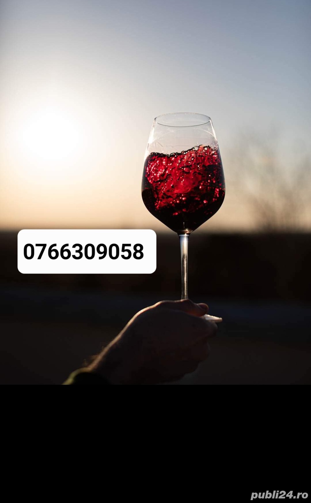 Vin de Dragasani - Merlot