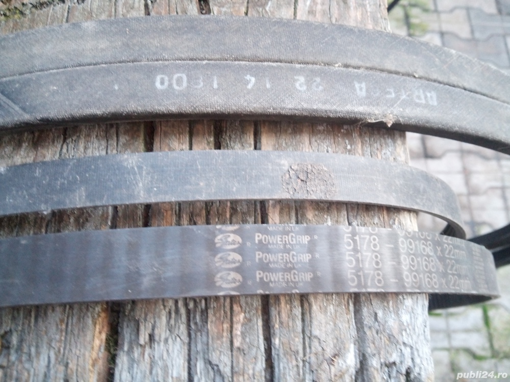 Curele de transmisie