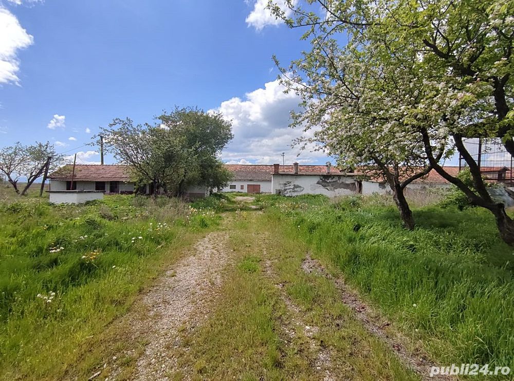 Teren intravilan industrial Brasov - Bod, conditii negociabile.