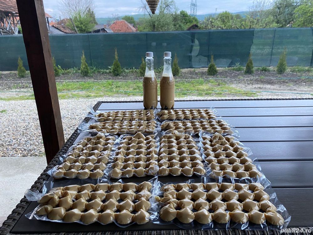 Apilarnil productie 2025