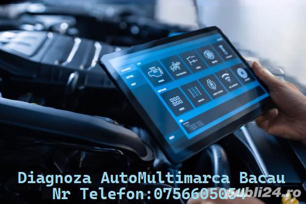 Execut Diagnoza Auto