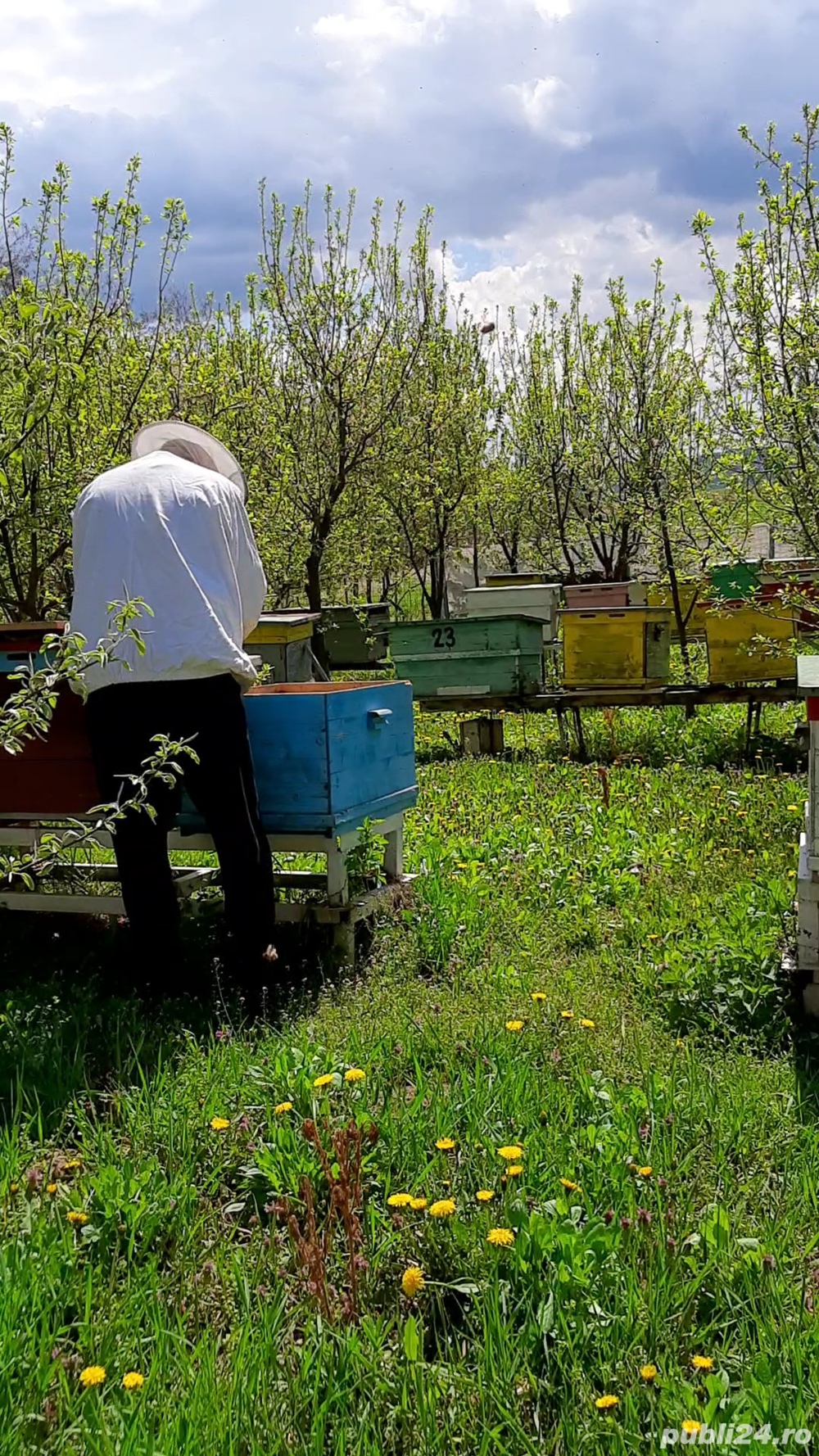 centrifuga inox apicultura