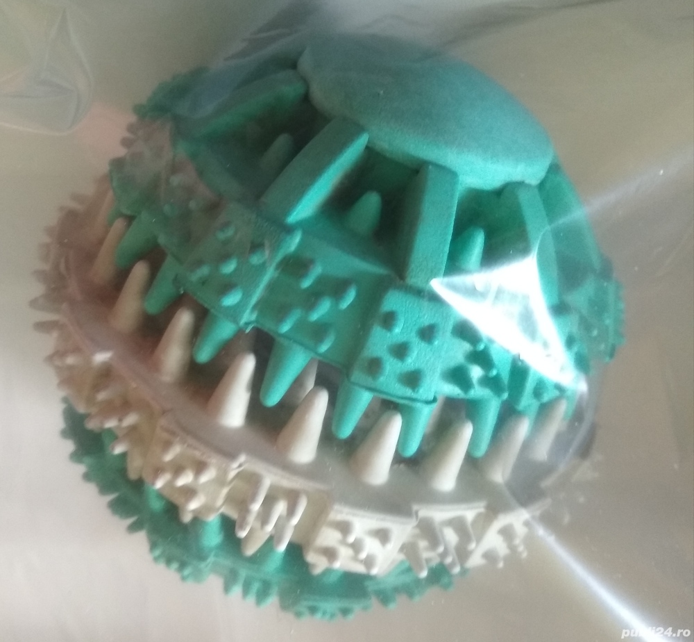 MINGE câine, pentru dentiție 