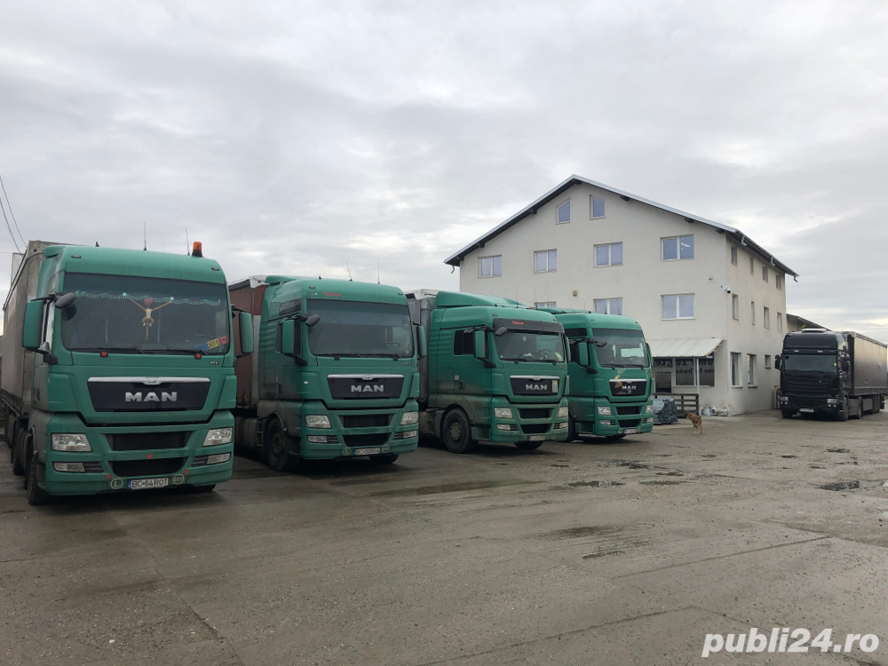 Sofer Cat B+C+E Pe Intern