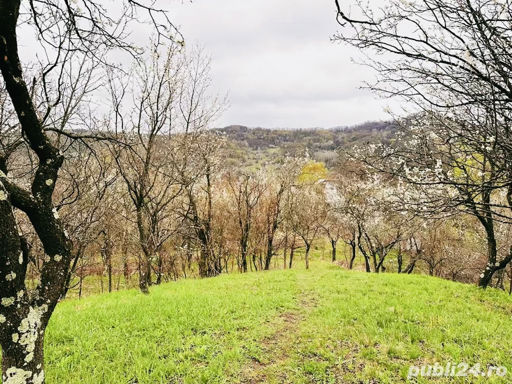 Vând teren intravilan zona de munte superba! 