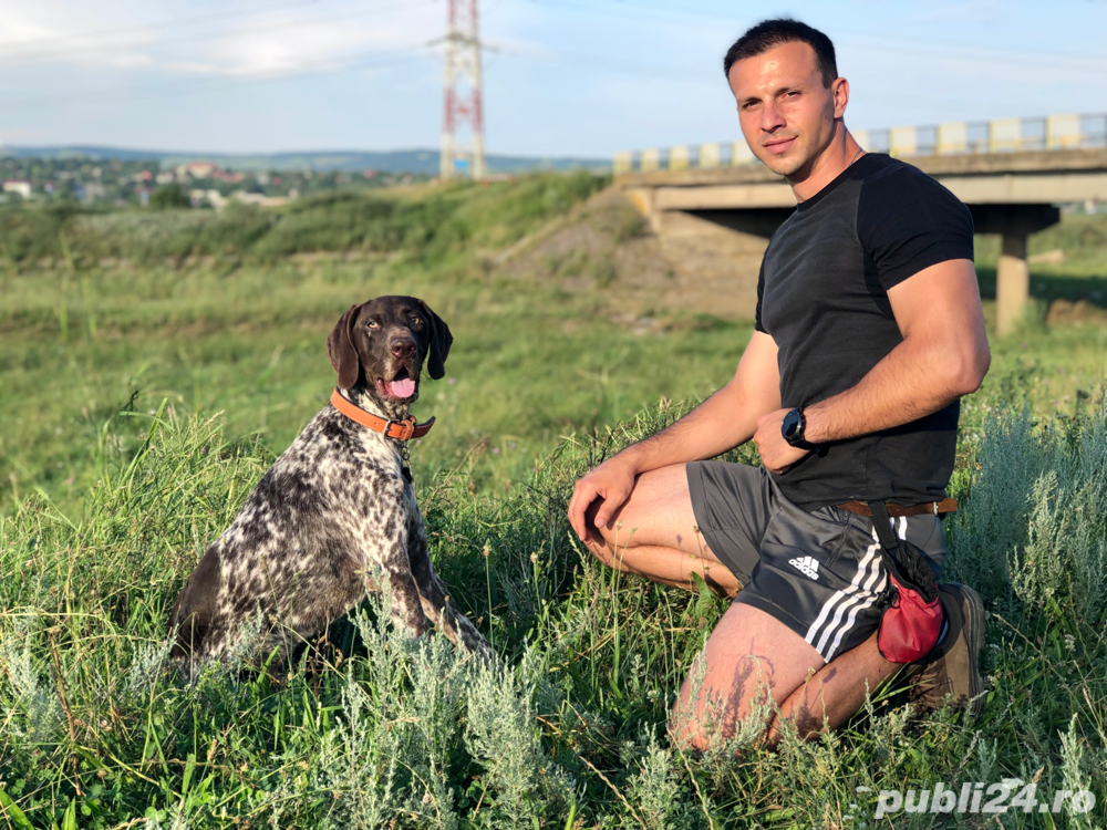 Dresaj canin in Mun. Vaslui   Câinii lui Ștefan